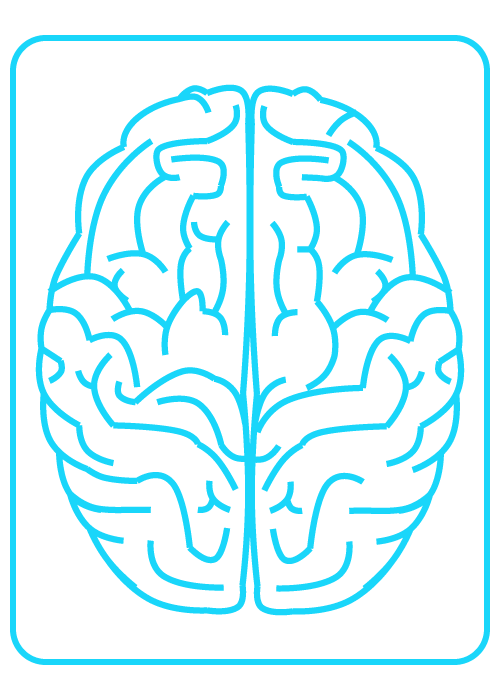 neurorouting